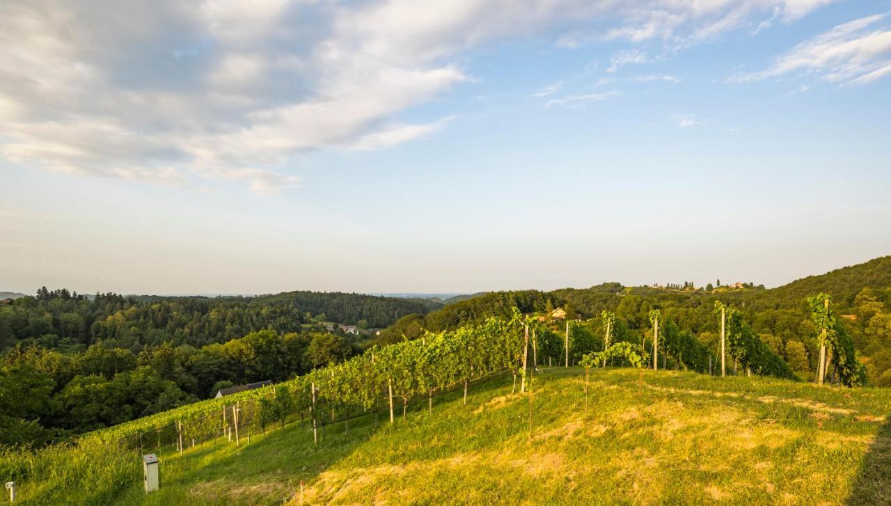 Weinzeit Chalets Gamlitz Kültér fotó